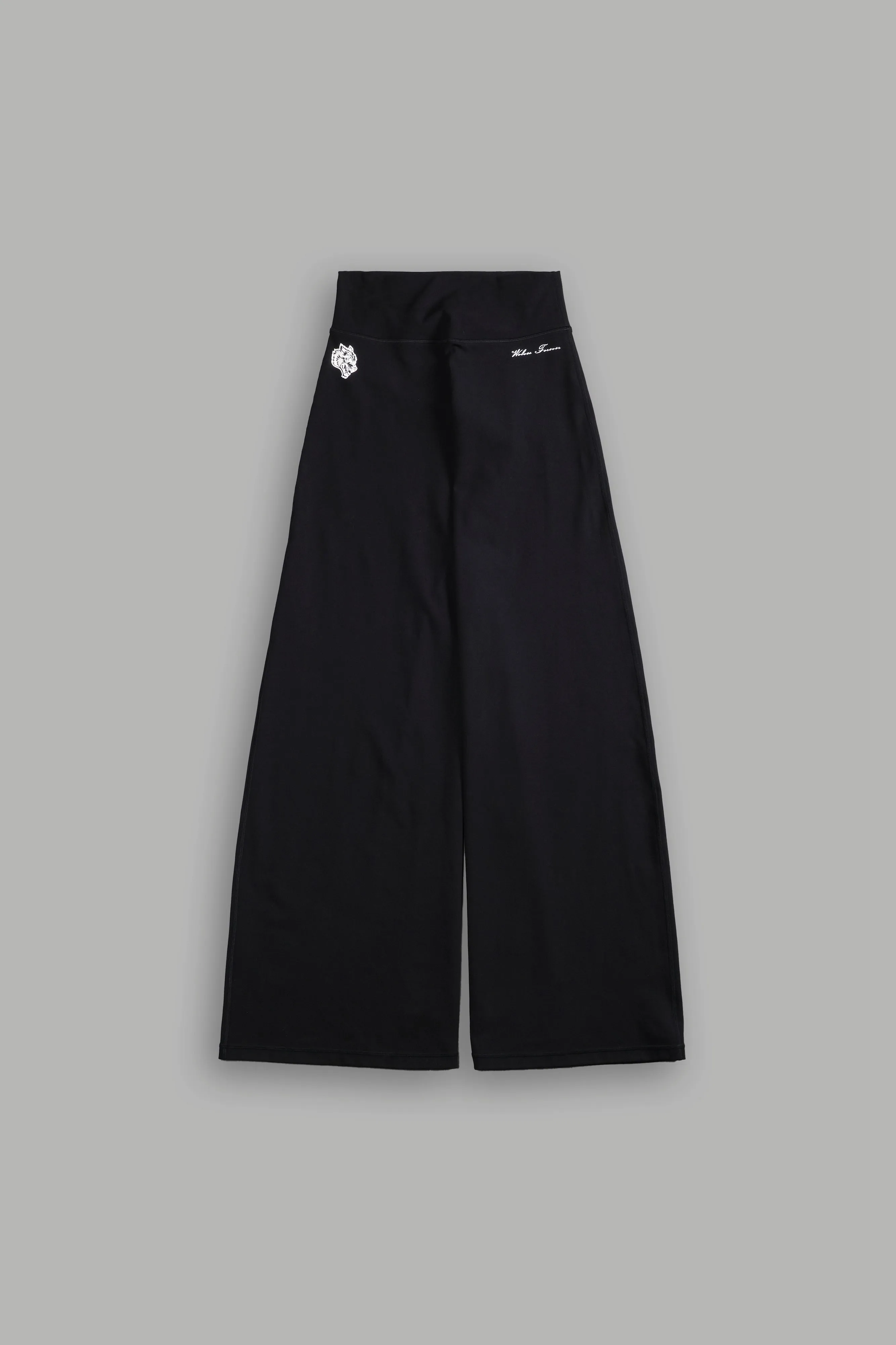 Conquer Wide Leg Energy Pants in Black